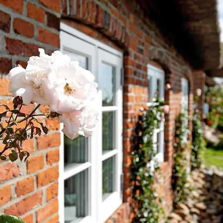 Holiday home Pellworm-kate *